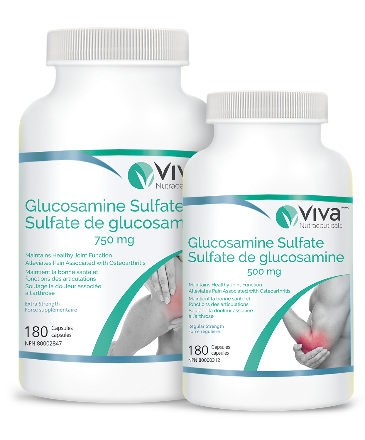 Dezelfde hoffelijkheid Steil Glucosamine 500 & Glucosamine 750 - VIVA NUTRACEUTICALS